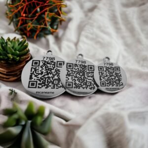 Placas_buddy2