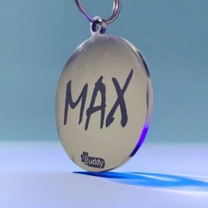 placas_buddy3