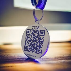 placas_buddy4