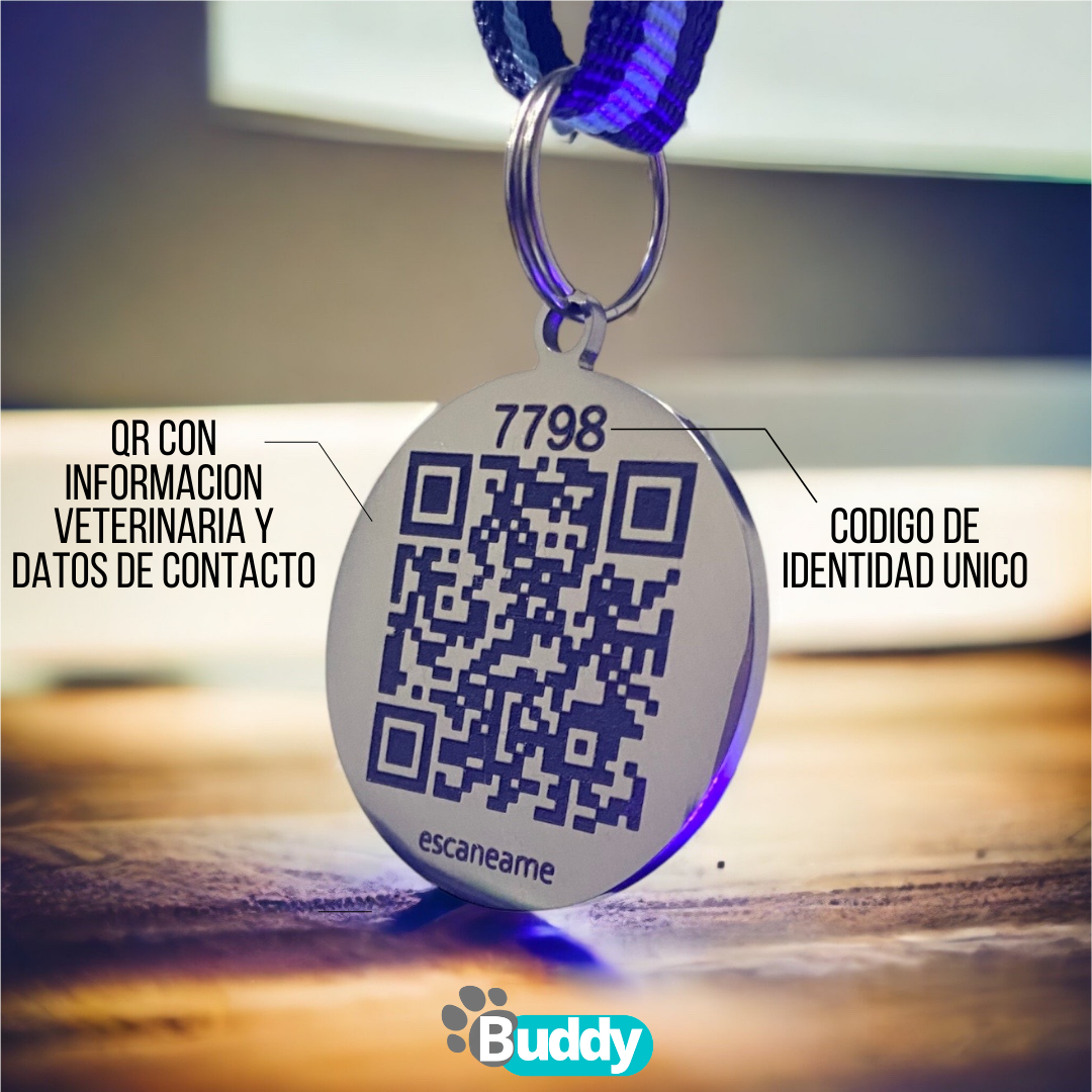 Copia de Copia de PLACAS (1)